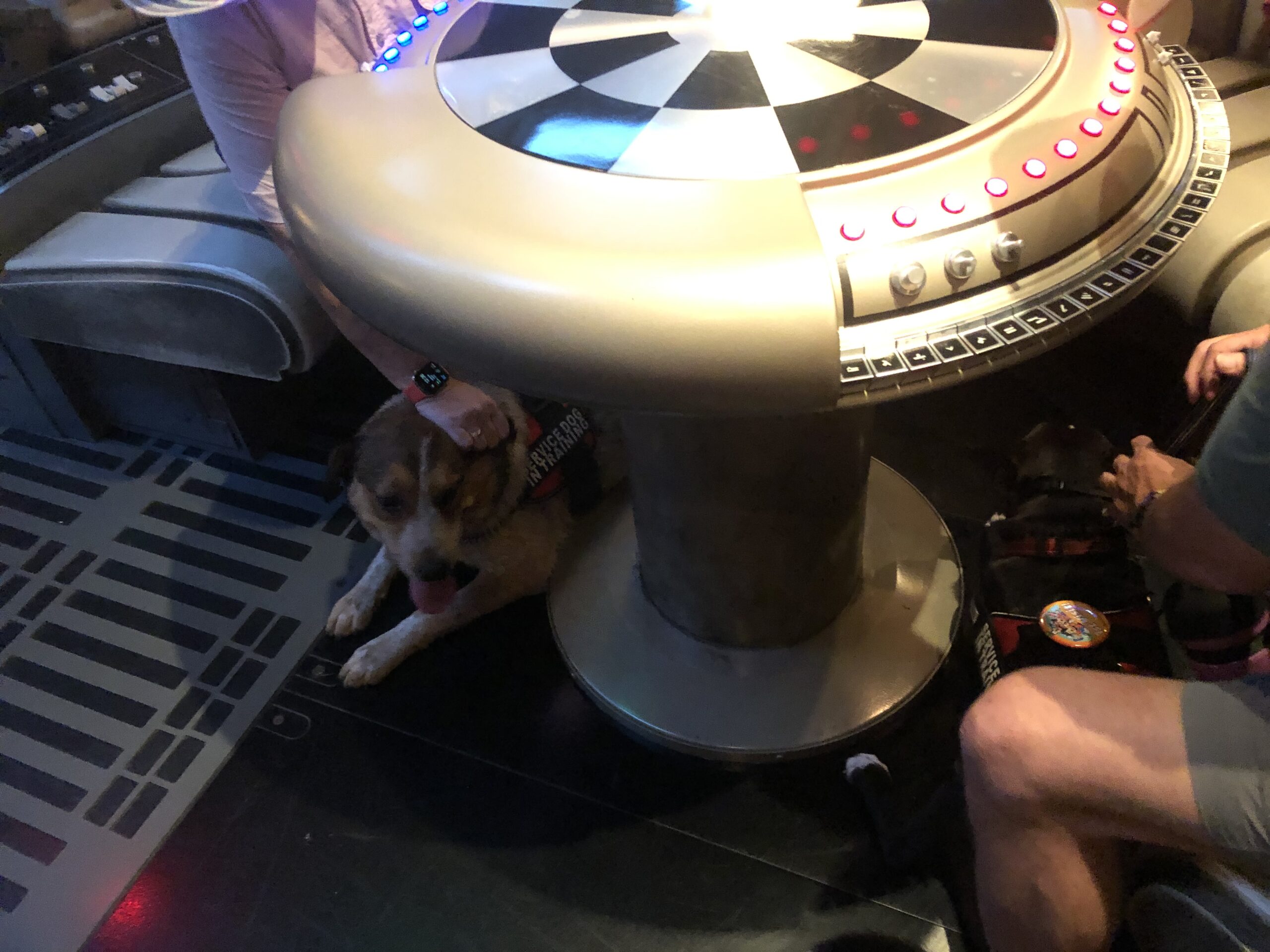 service dog training under chess table Millennium Falcom