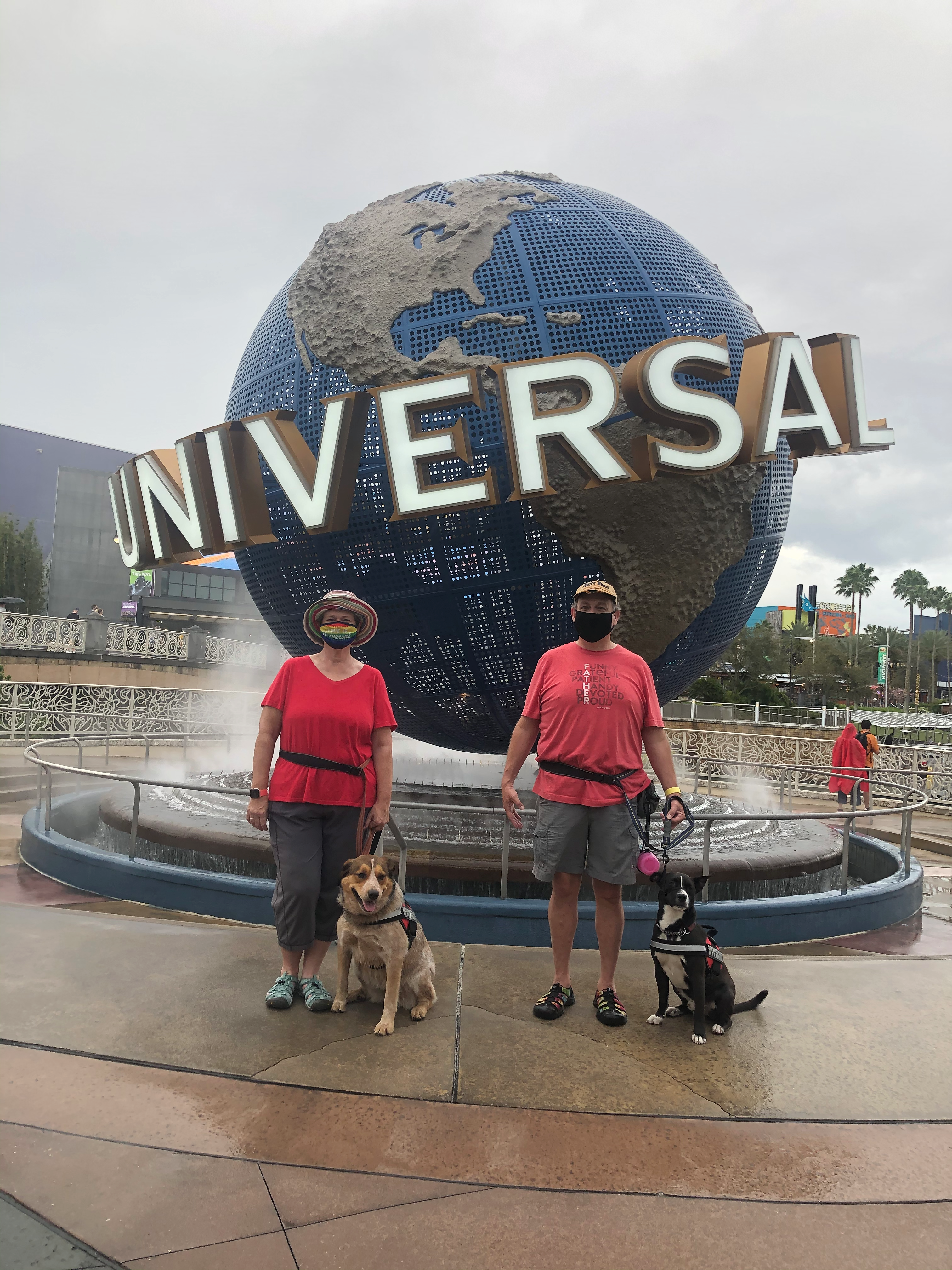 service dogs at universal studios