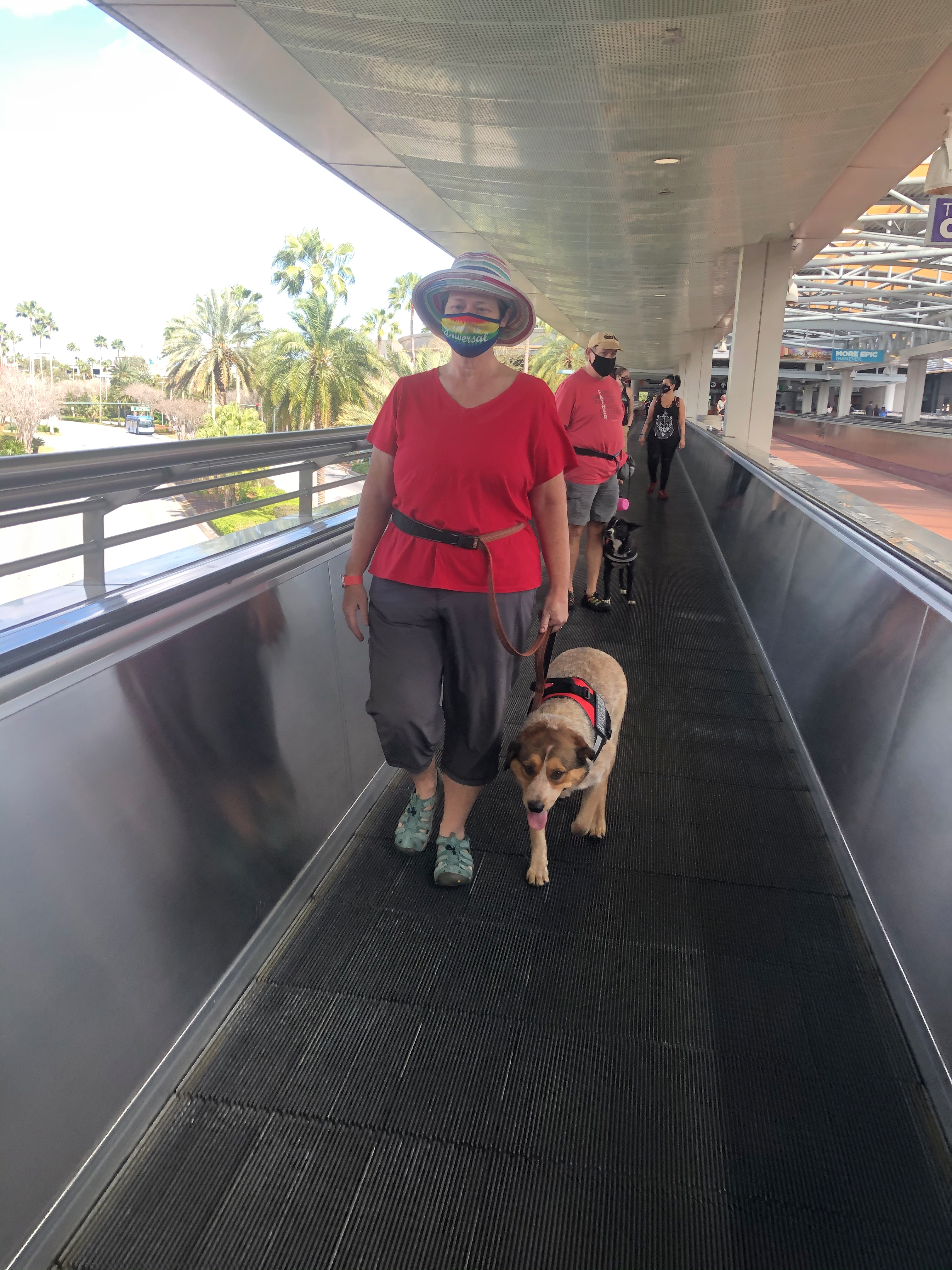 service dog on moving walkway