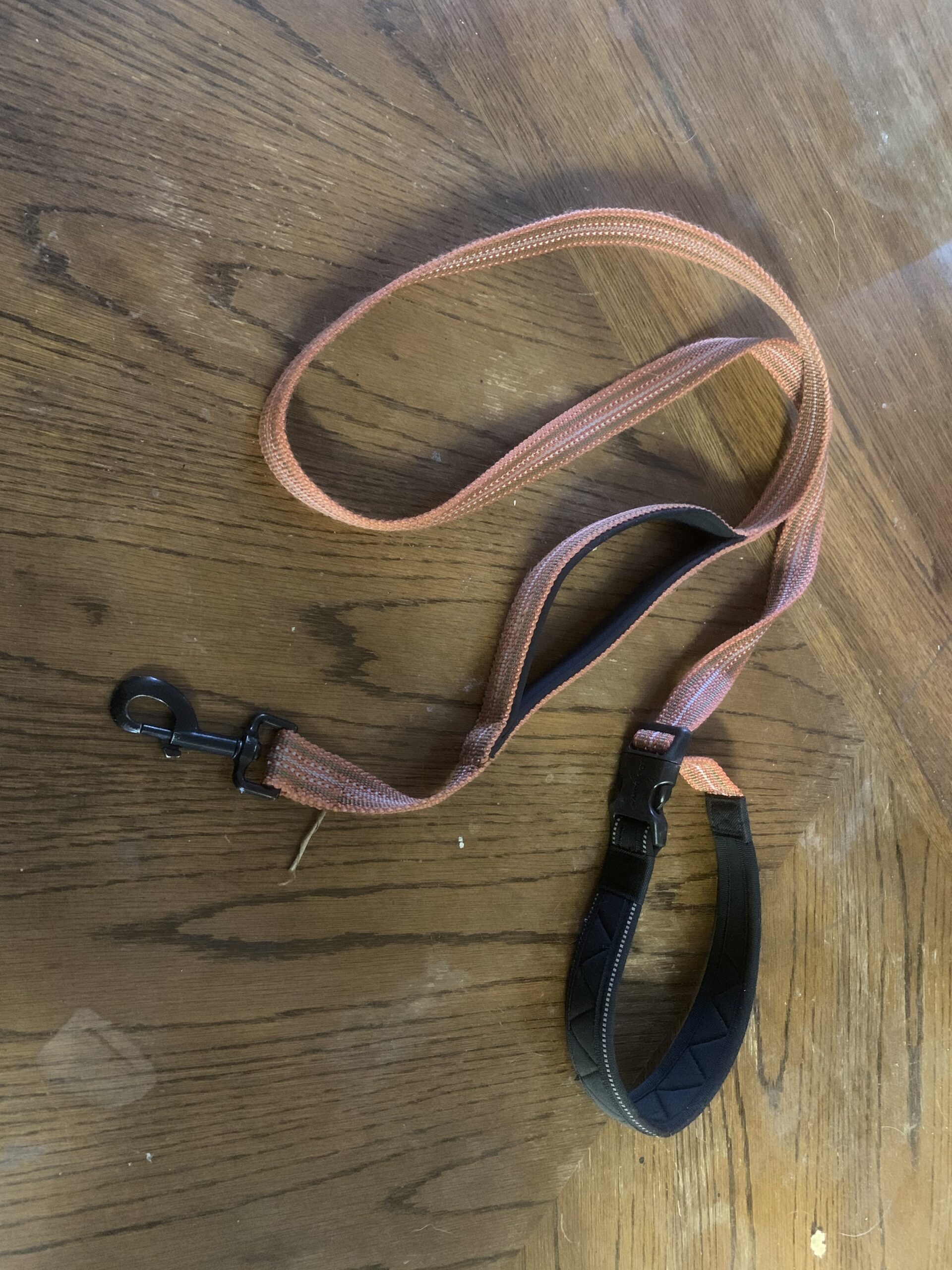 equipment for dog training leash