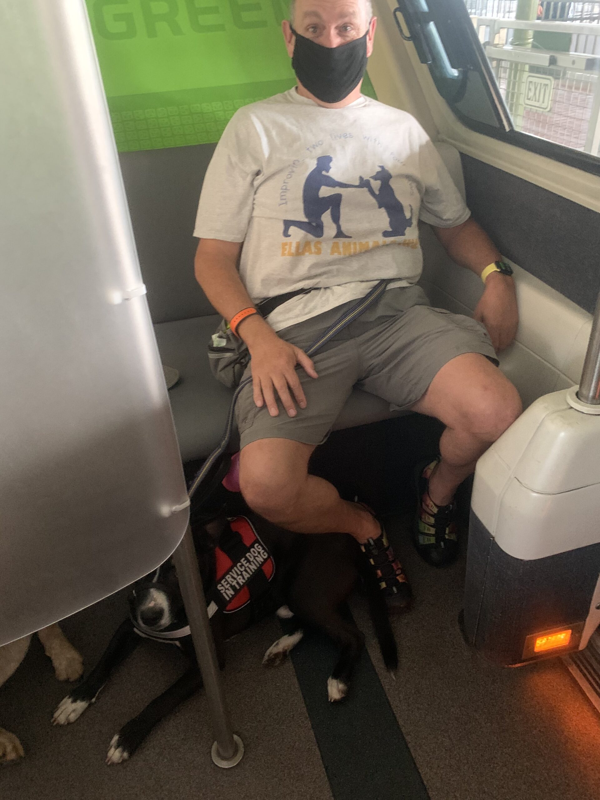 service dog in training disney world monorail
