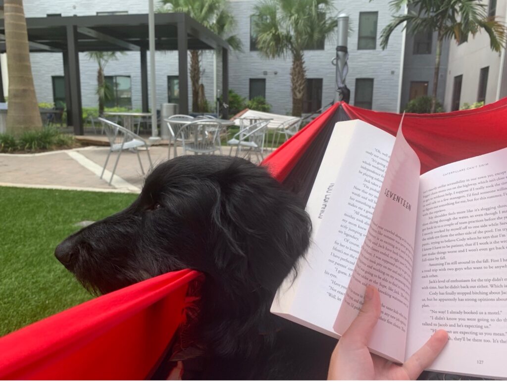 service dog at college reading in hammock