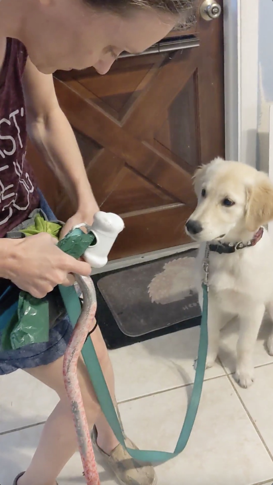 adapting service dog training cane and treats